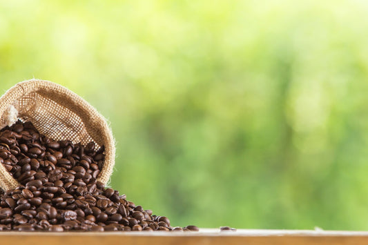 WHAT IS COFFEE PROCESSING